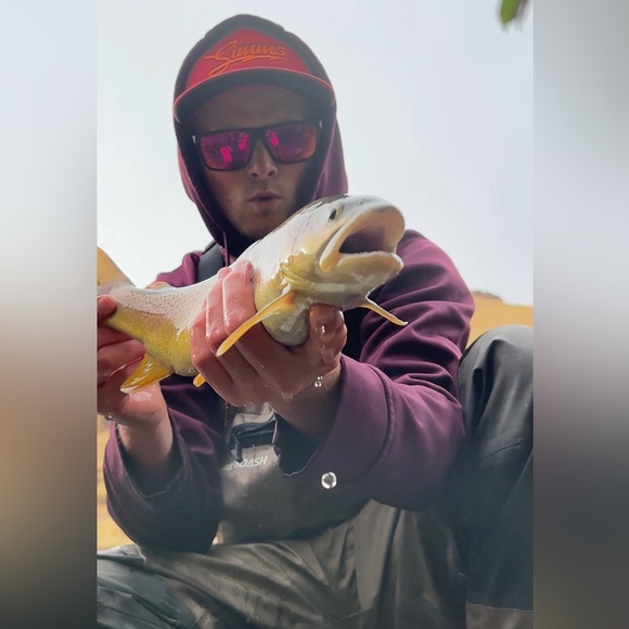 Meet your Posher, Caleb - Picture 5 of 5